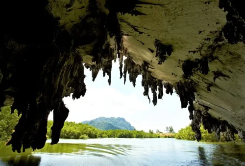 Stalactites hanging from the roof of a sea cave overlooking mangrove channels in Phang Nga Bay.