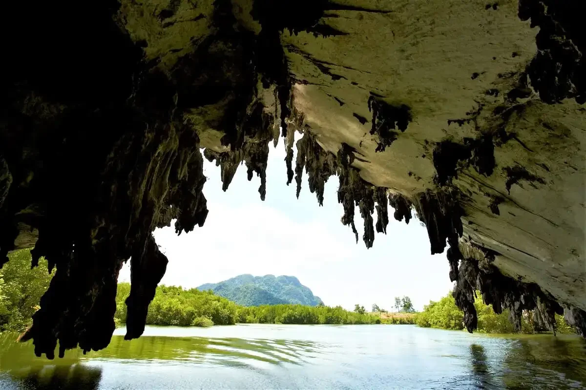 Stalactites hanging from the roof of a sea cave overlooking mangrove channels in Phang Nga Bay.