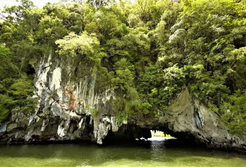 Limestone cave entrance surrounded by green vegetation and calm emerald water.