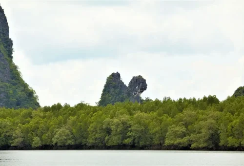 Heart-shaped limestone rock in Phang Nga Bay surrounded by mangrove forest on the James Bond Discovery Tour from Krabi.