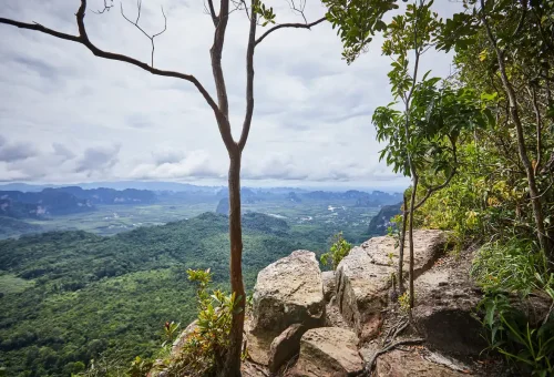 Cliffside trail surrounded by trees with sweeping view of Krabi valley below.