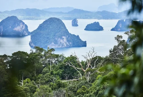 Close-up view of limestone islands surrounded by emerald water seen from Dragon Crest viewpoint.