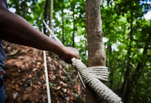 Close-up of a hand gripping safety rope along steep section of Krabi hiking trail.