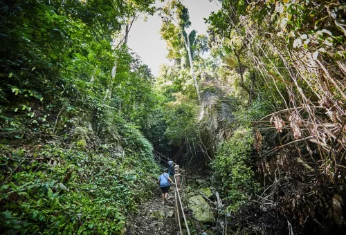 Adventurers climbing a natural jungle path with rope support in Huay Tho National Park.