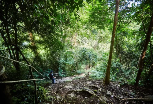 Hiker descending steep jungle trail using safety ropes in Krabi rainforest.