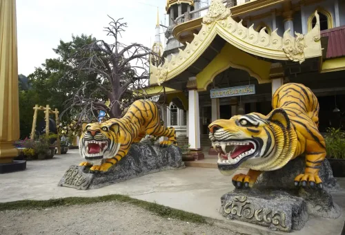 Tiger statues guarding entrance of Tiger Cave Temple in Krabi, Thailand.
