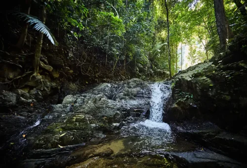 Small waterfall surrounded by tropical forest in Huay Tho National Park, Krabi.