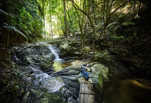 Hikers crossing wooden bridge over jungle stream at Huay Tho Waterfall, Krabi.