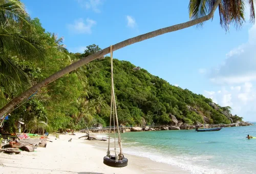 Peaceful tropical beach in Koh Phangan with a palm tree swing, turquoise water, and white sand.