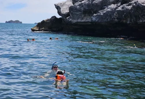 Snorkelers exploring coral reefs and tropical fish near limestone cliffs in Angthong Marine Park.