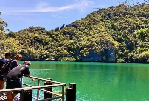 View of calm green lagoon surrounded by lush jungle cliffs in Angthong Marine Park.