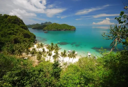 White sandy beach with palm trees and turquoise water at Angthong Marine Park, Thailand.