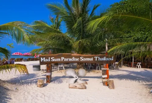 Entrance sign reading “Mad Sum Paradise Samui Thailand” surrounded by palm trees and beach chairs on Koh Madsum Pig Island.