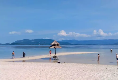 Visitors exploring the shallow sandbar at Pig Island Samui during low tide, with mountains and calm water in the background.