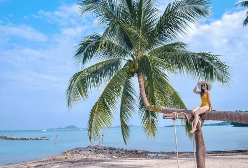 Traveler sitting on a leaning palm tree overlooking the sea at Coral Island, part of the Samui speedboat tour.