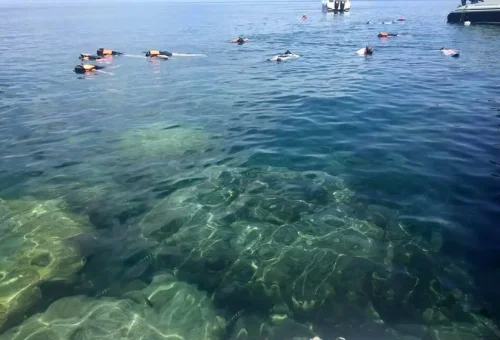 Snorkeling near Koh Phangan with clear tropical waters