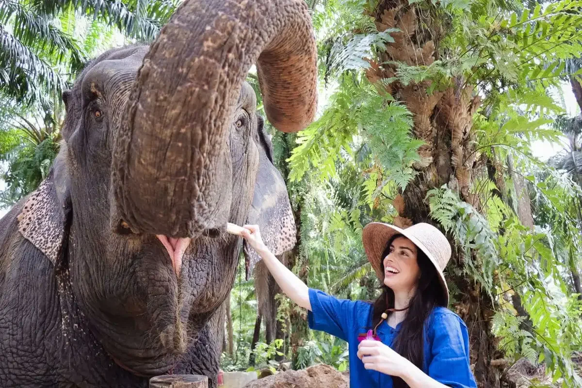 Krabi Elephant Shelter Feed Me Up Phuket Travel Store 4