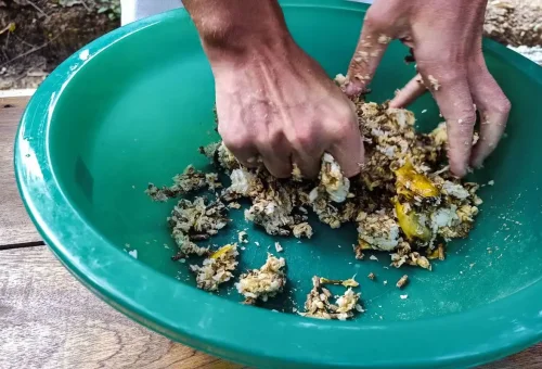 Hands mixing natural ingredients to make elephant food during the Cook and Feed tour in Krabi.