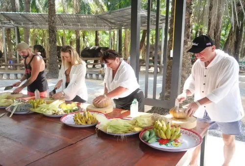 Visitors preparing fresh fruit and vegetables for elephants at Krabi Elephant Shelter with Phuket Travel Store.