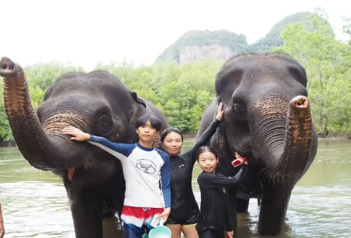 Family posing with elephants during a feeding and bathing session in Krabi.