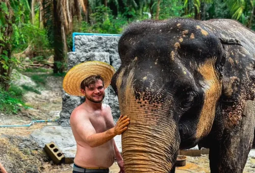 Visitor wearing a straw hat petting an elephant at Krabi Elephant Shelter.