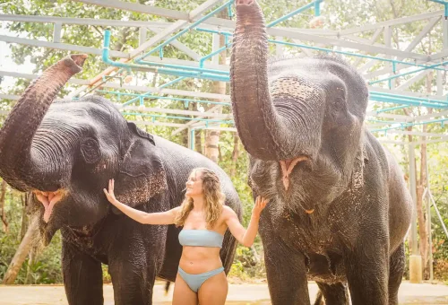 Woman standing beside two elephants under a washing station during a Krabi elephant tour.