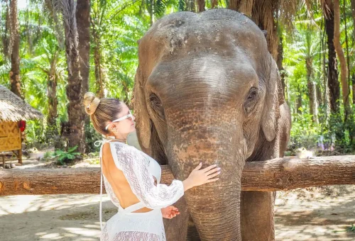 Woman gently touching an elephant in a tropical palm forest at Krabi Elephant Shelter.