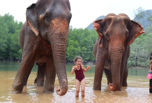 Child smiling while standing between two elephants during the Bathe With Me experience at Krabi Elephant Shelter.