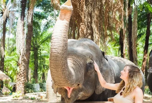 Woman gently touching an elephant’s face in a tropical sanctuary at Krabi Elephant Shelter.