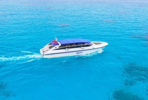 Luxury private speedboat cruising in bright blue water on a Phi Phi Islands and Bamboo Island tour.