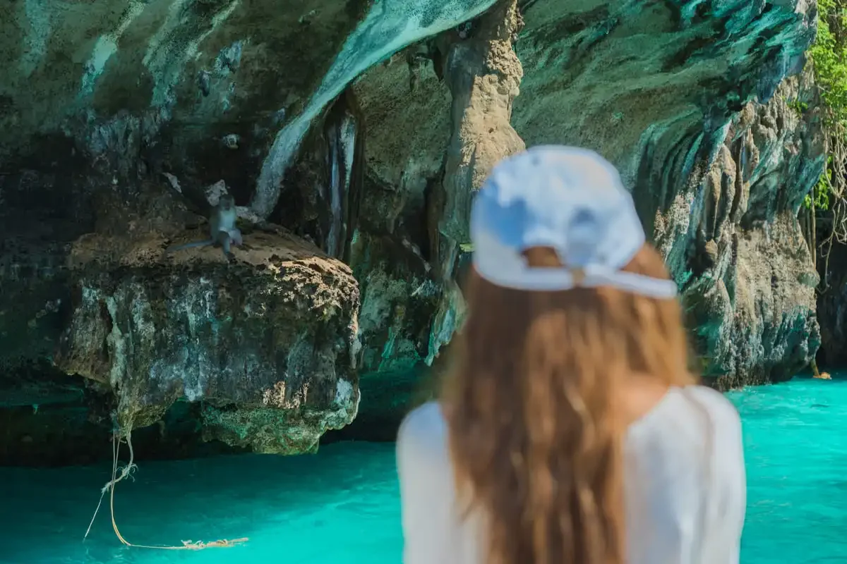 Monkey sitting on a rocky ledge above turquoise water at Monkey Beach on a Phi Phi Islands tour.