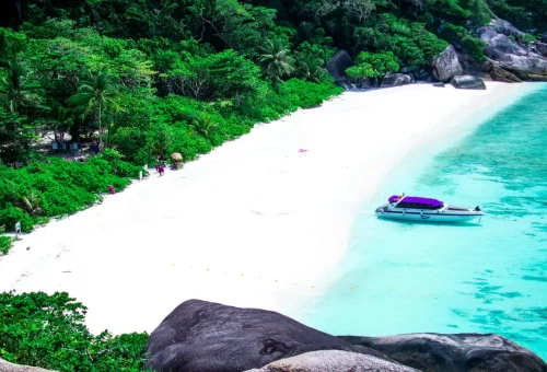 Aerial view of private speedboat on white beach at Similan Islands