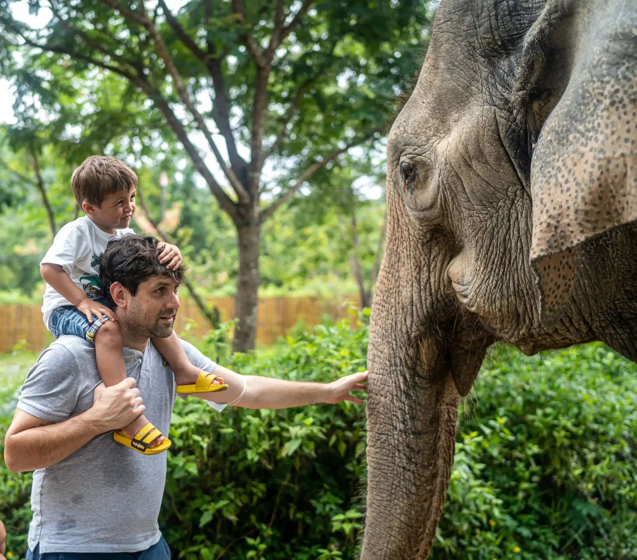 LINE_ALBUM_Samui Elephant Kingdom_220614_14
