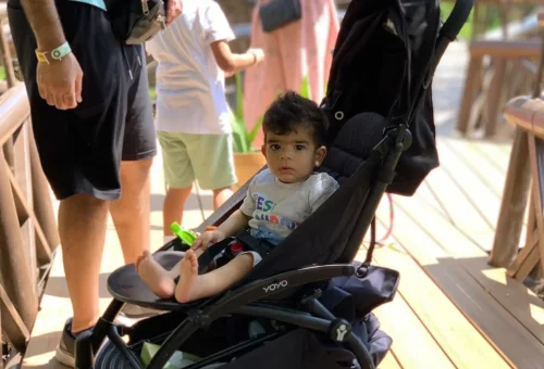 LINE_ALBUM_Samui Elephant Kingdom_220614_3