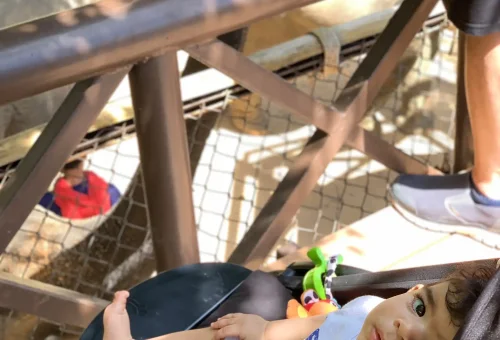 LINE_ALBUM_Samui Elephant Kingdom_220614_2