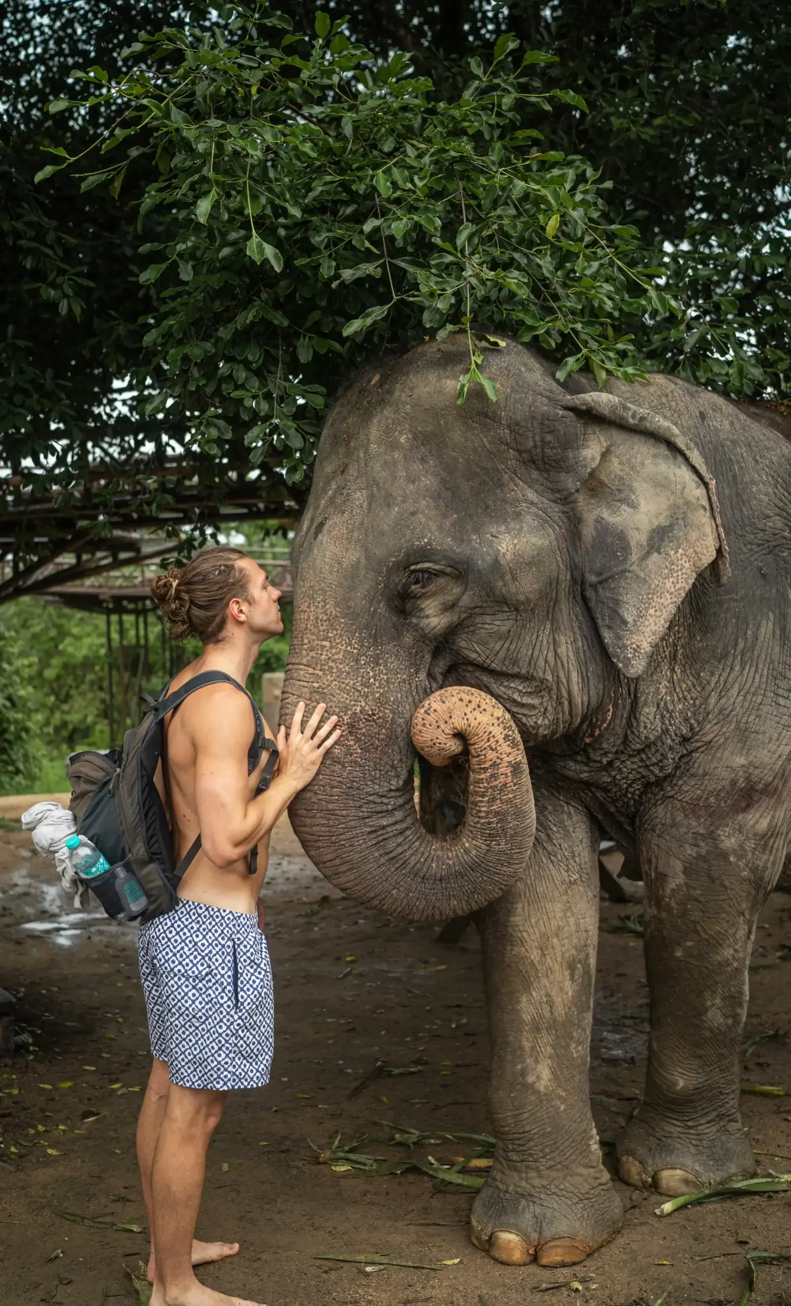 LINE_ALBUM_Samui Elephant Kingdom_220614_15