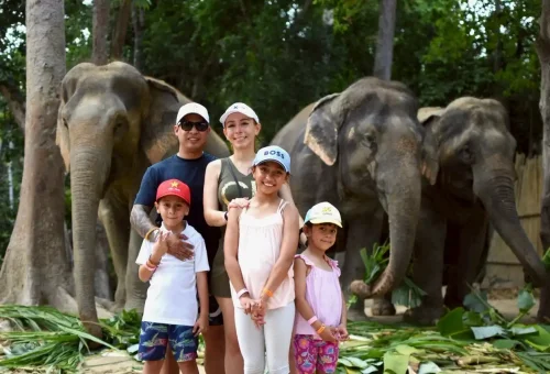 LINE_ALBUM_กิจกรรม Half Day_250329_4