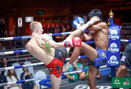 487408530_1076368337858769_1273370701395923732_n