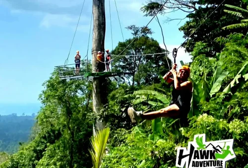 LINE_ALBUM_Photo Hawk Zipline_250407_1