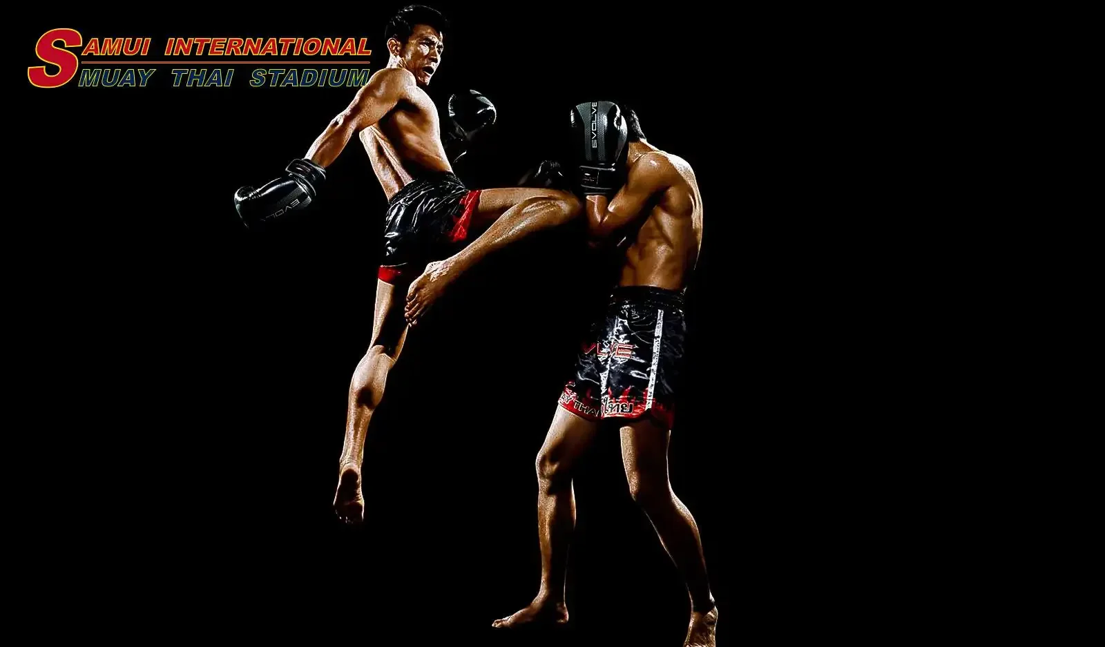 60157956_1033178780403044_1435444066790670336_n