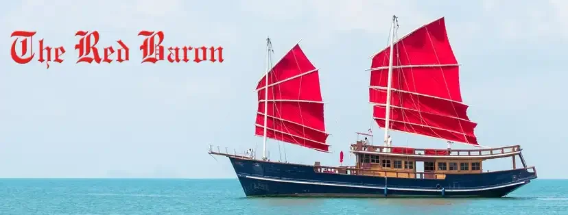 313404840_520593486732298_2239424575129679173_n