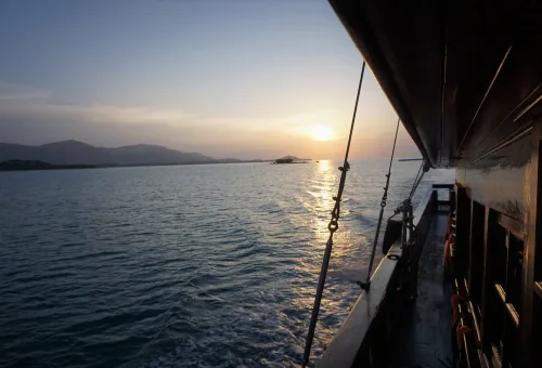 122232702_102664224978749_1949646459466826313_n