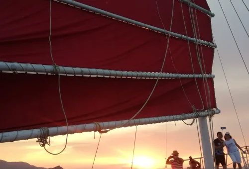 123344062_111147224130449_4681629579252683271_n