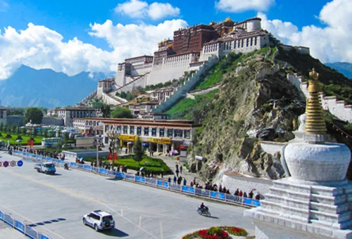 china 7d
