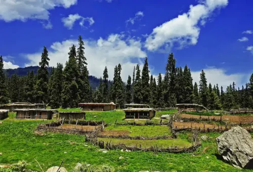 web gallery gulmarg india (1)