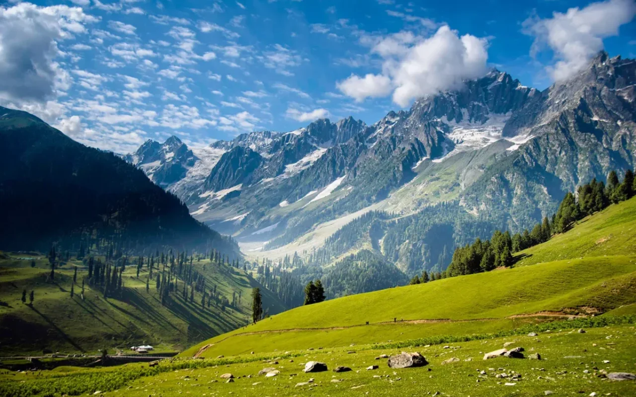 web gallery gulmarg india (3)