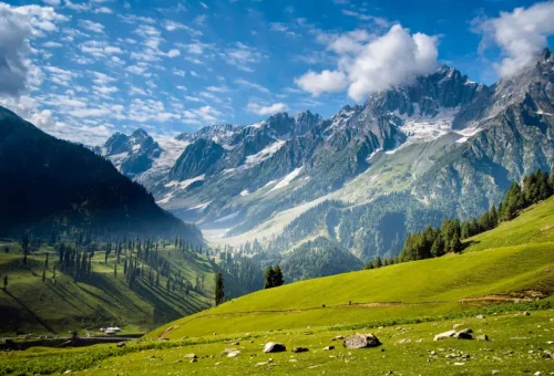 web gallery gulmarg india (3)