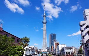 Web Gallery Japan (4)