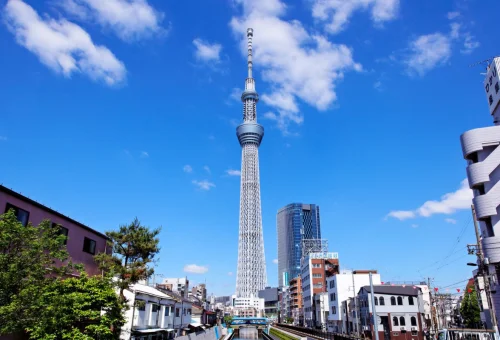 web gallery japan (4)