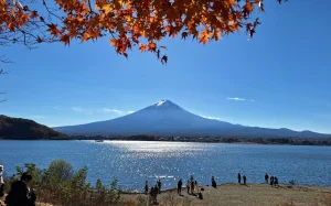 Web Gallery Japan (3)